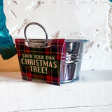 Perfect Pine Grow Kit