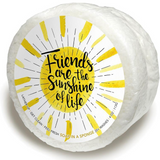 FRIENDS ARE THE SUNSHINE OF YOUR LIFE Soap in a Sponge