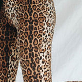 Leopard Print Flare Leg Pants