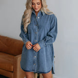 Button Up Collared Neck Long Sleeve Denim Dress