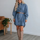 Button Up Collared Neck Long Sleeve Denim Dress