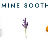 Pedi Moments - Jasmine Soothe - Final Sale