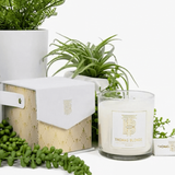 Thomas Blonde | Bougie Blonde Gift Box + Candle Set - Final Sale