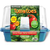 Beefsteak Tomatoes Grow Kit