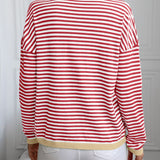 Contrast Trim Striped V-Neck Long Sleeve Knit Top